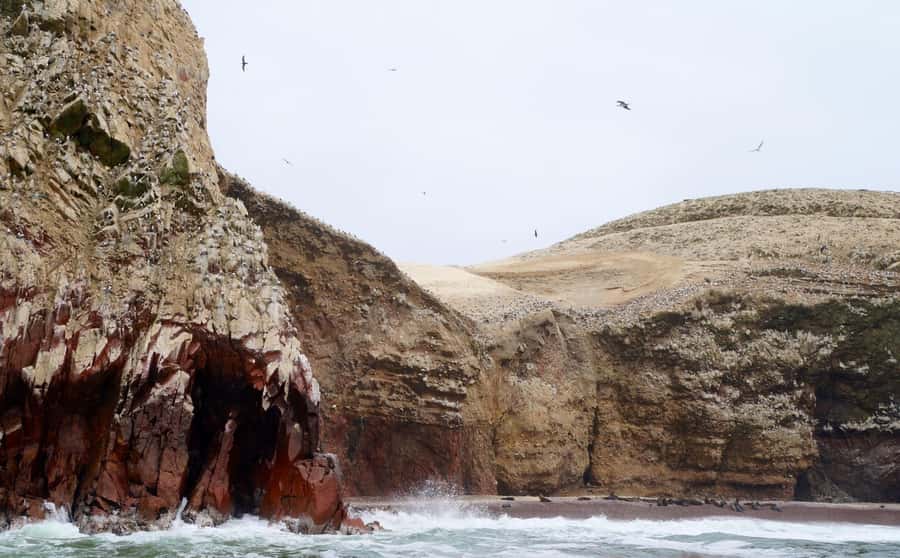 Paracas: Ballestas Islands and Candelabra of Paracas Boat - The ride to the Ballestas Islands