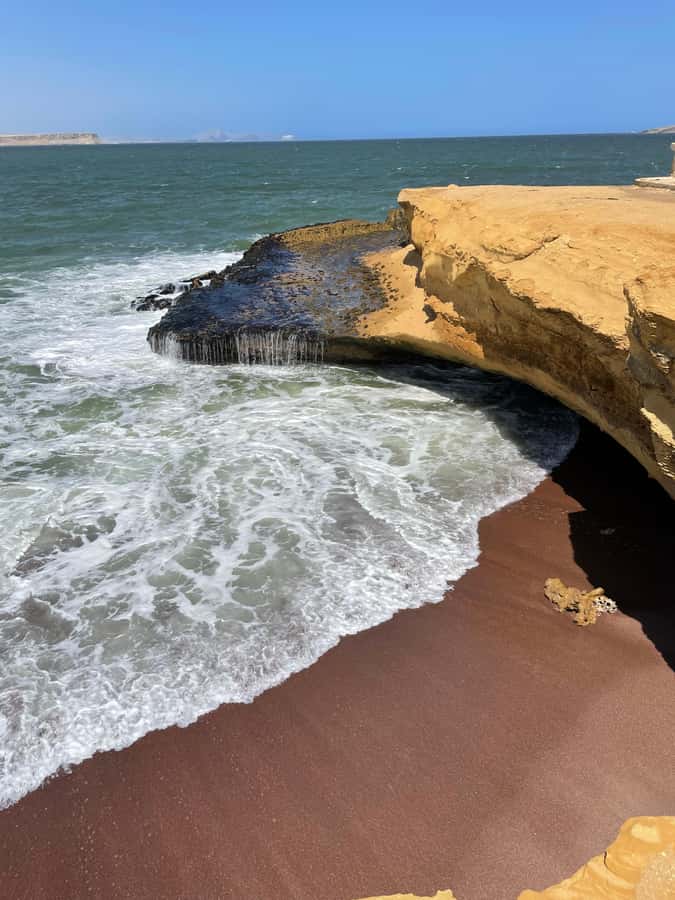 PARACAS: BALLESTAS ISLANDS AND NATIONAL RESERVE - What the $39 price covers