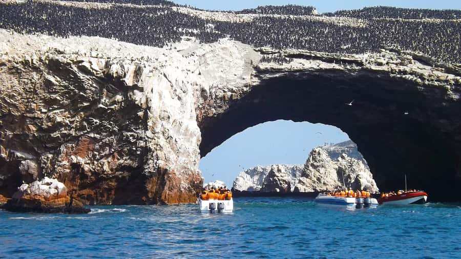 Paracas: Ballestas Islands Boat tour - Islas Ballestas - Key points to know before you go