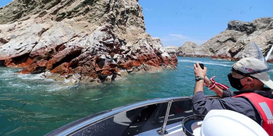 Paracas: Ballestas Islands Boat tour - Islas Ballestas - Humboldt penguins among the rocks