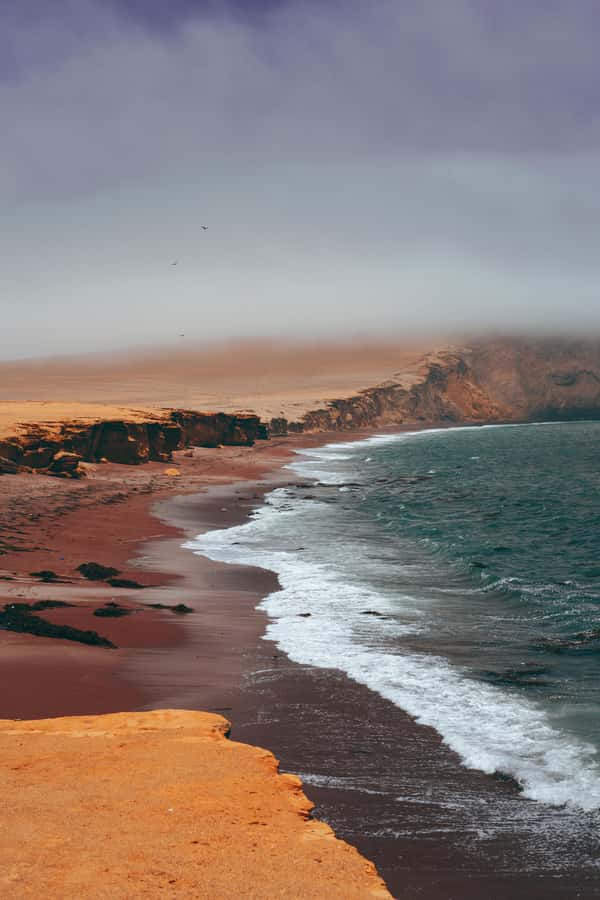 Paracas: Ballestas Islands Boat tour - Islas Ballestas - Starting at El Chaco Pier in Paracas