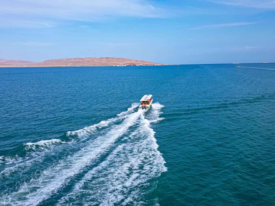 Paracas: Ballestas Islands Guided Boat Tour - What the $20 price really covers