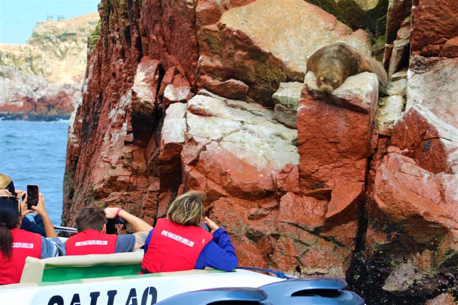 Paracas: Ballestas Islands Guided Boat Tour - Leaving Paracas Port and crossing the bay