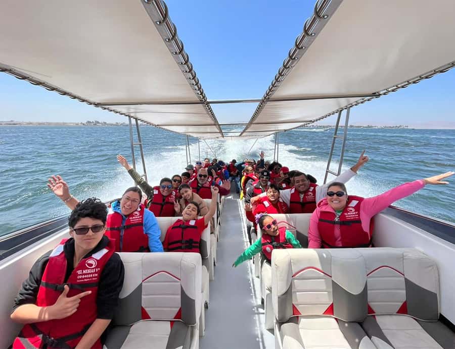 Paracas: Ballestas Islands Morning Boat Tour - The main tradeoff: protection versus closeness