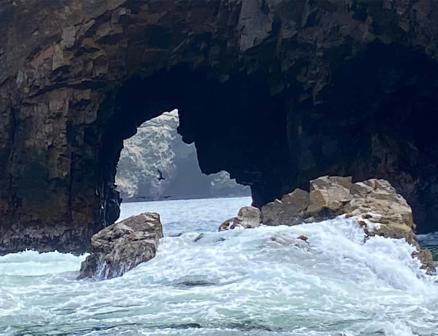 Paracas: Ballestas Islands Morning Boat Tour - What the guide adds to the morning