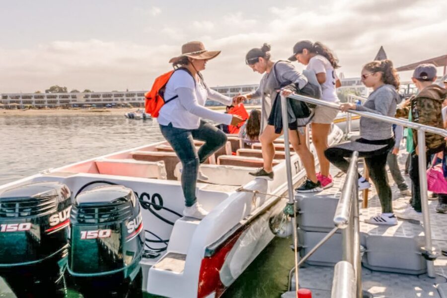 Paracas: Ballestas Islands Morning Boat Tour - Who should take this boat tour?