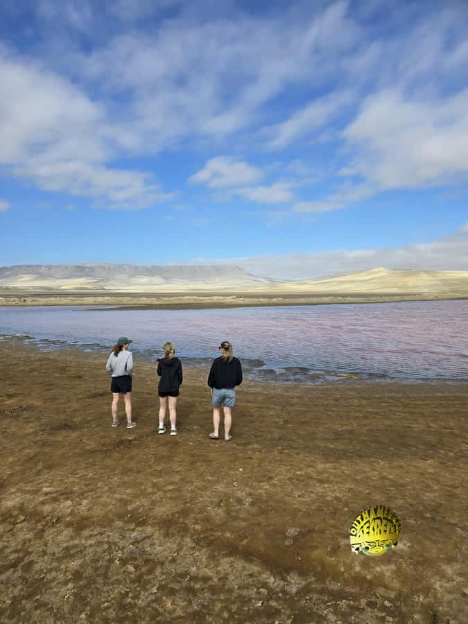 Paracas:Private Tours Paracas National Reserve all inclusive - Key points at a glance