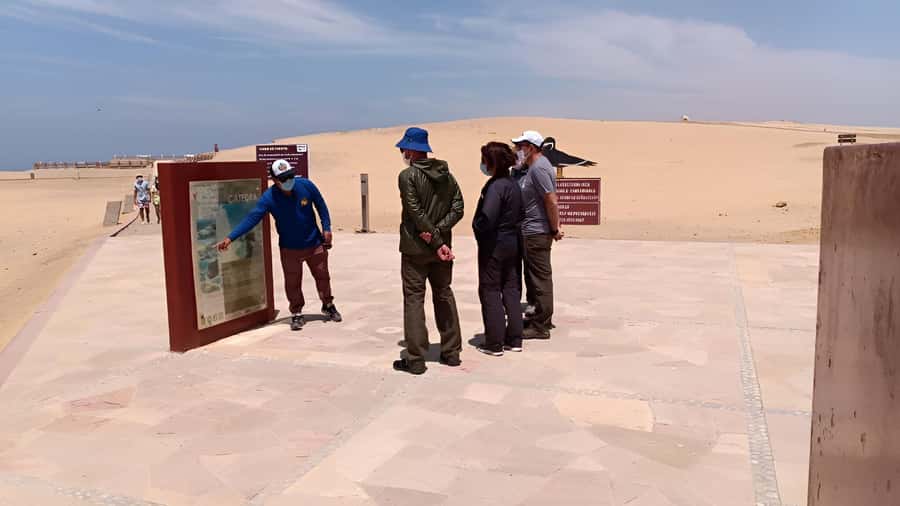 Paracas:Private Tours Paracas National Reserve all inclusive - Looking for flamingos near the salt areas