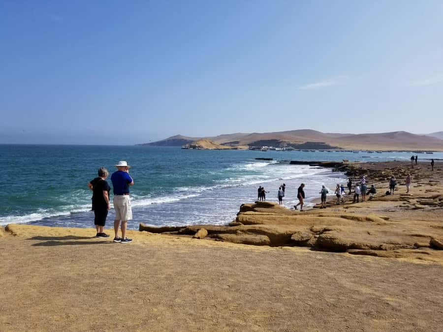 Paracas:Private Tours Paracas National Reserve all inclusive - Lagunillas and the pink lagoon
