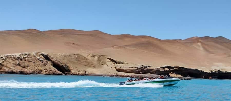 Paracas: speedboat BALLESTAS ISLANDS TOUR - Key points before you book