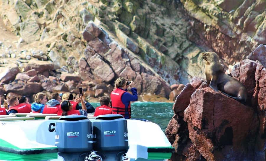 Paracas: speedboat BALLESTAS ISLANDS TOUR - The first view: El Candelabro from the water
