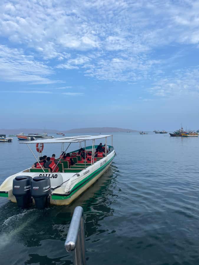 Paracas: speedboat BALLESTAS ISLANDS TOUR - Wildlife watching around the rocks