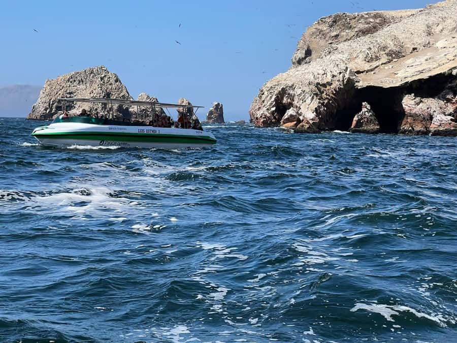 Paracas: speedboat BALLESTAS ISLANDS TOUR - Meeting in Plaza El Chaco