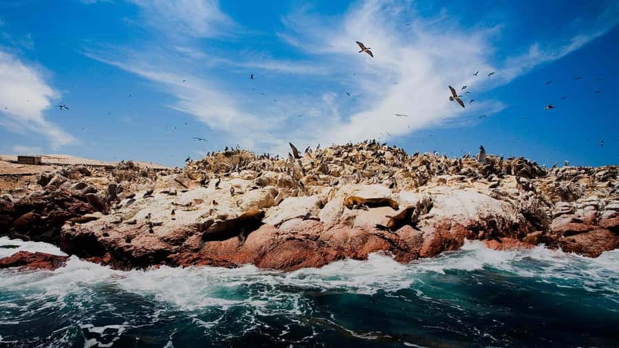 PARACAS|| Sunset trekking in the Paracas National Reserve - Why Paracas works so well at sunset