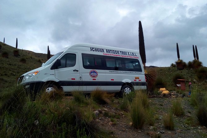 Pastoruri Glacier - Puya Raimondi, the giant plant of the high Andes