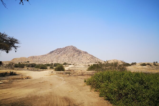 Piramids of Tucume Tour, Sican Museum and Lambayeque city tour - Guide quality, language and transport