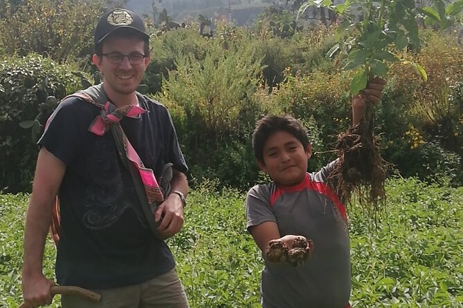 Private 3 Day Colca Canyon Trekking tour (superior Service) - Chivay, volcanoes, and vicuñas
