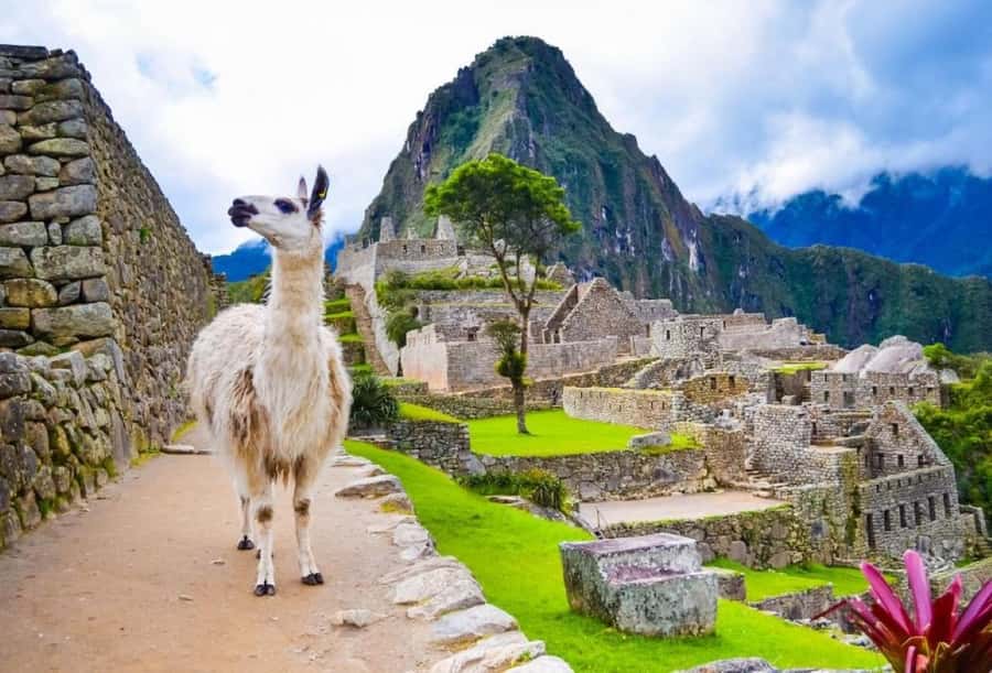 Private Guide in Machu Picchu for 3 Hours - Communication problems deserve careful attention