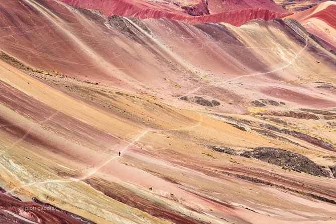 Private Rainbow Mountain Tour From Cusco – Vinicunca Rainbow Mountain - Choosing a guide and preparing for the altitude