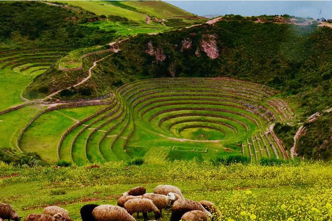 Private Tour Sacred Valley, Chinchero, Maras Moray, Ollantaytambo - Urubamba lunch: a necessary break with a question mark