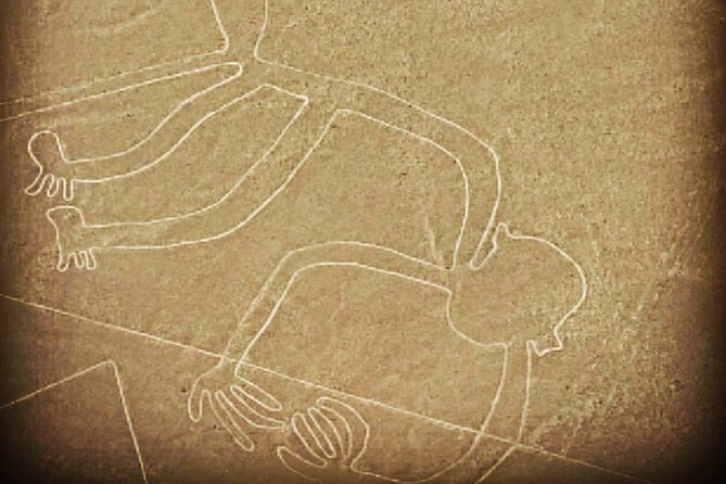Private Tour to the Astonished Nazca Lines and Huacachina Oasis - Is $650 per person a fair price?