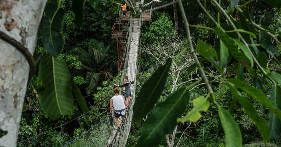 Puerto Maldonado: 2-Day Peruvian Tambopata Jungle Trip - Key points at a glance