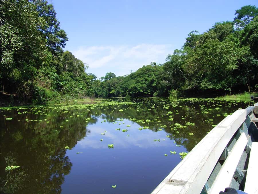 Puerto Maldonado: 2-Day Peruvian Tambopata Jungle Trip - Is $280 a fair price?