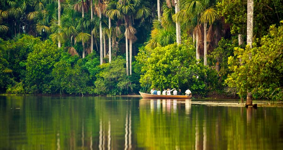 Puerto Maldonado: 2-Day Peruvian Tambopata Jungle Trip - What this two-day Tambopata trip is really like