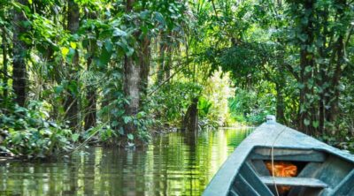 2-Day Peruvian Tambopata Jungle Trip