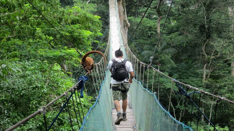 Puerto Maldonado: 2-Day Peruvian Tambopata Jungle Trip - The 1.5-hour walk to Sandoval Lake