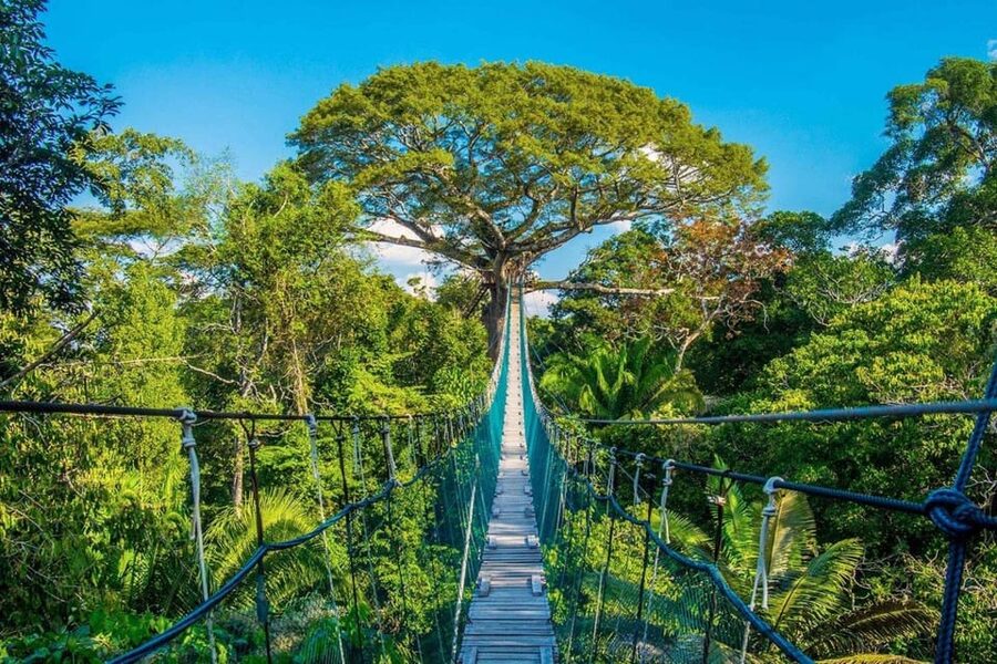 Puerto Maldonado: Jungle Adventure |Zipline + Canopy + Kayak - Language, group size, and physical demands