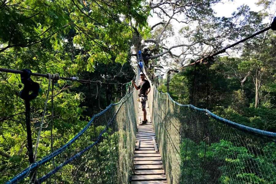 Puerto Maldonado: Jungle Adventure |Zipline + Canopy + Kayak - Walking the suspension bridge through the forest