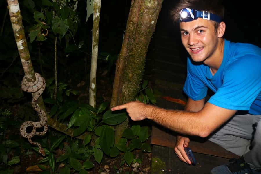 Puerto Maldonado: Jungle Night Tour with Sloths & Tarantulas - Key points at a glance