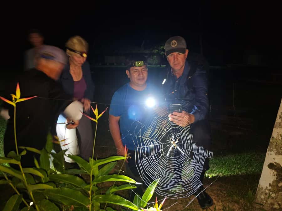 Puerto Maldonado: Jungle Night Tour with Sloths & Tarantulas - Why Tambopata after sunset feels so different