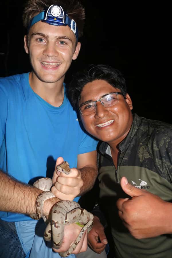 Puerto Maldonado: Jungle Night Tour with Sloths & Tarantulas - Searching for tarantulas with a flashlight