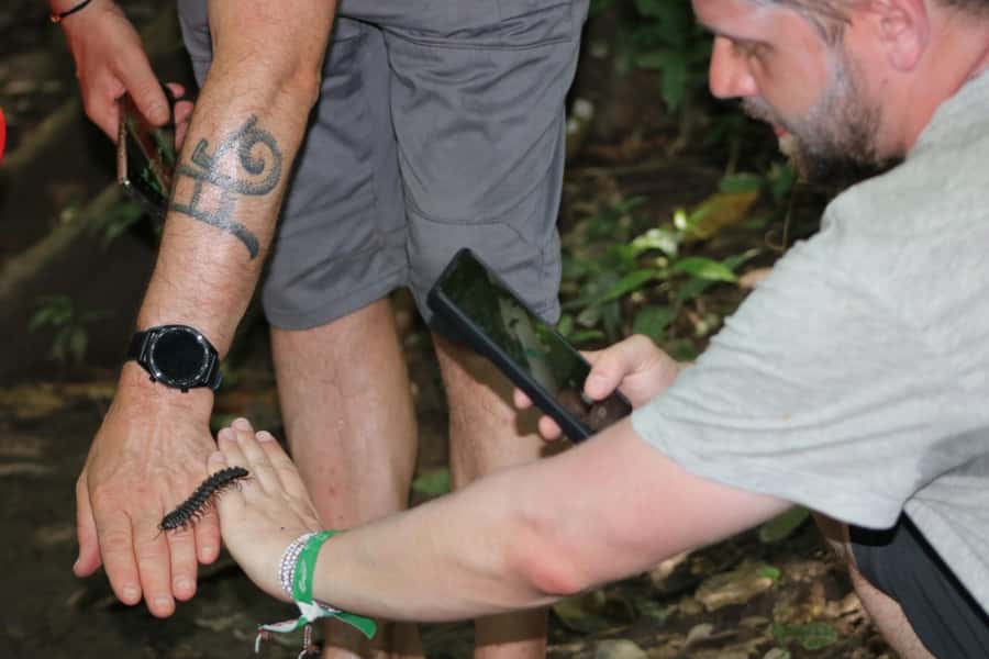 Puerto Maldonado: Jungle Night Tour with Sloths & Tarantulas - Sloths, night monkeys, caimans, and smaller life