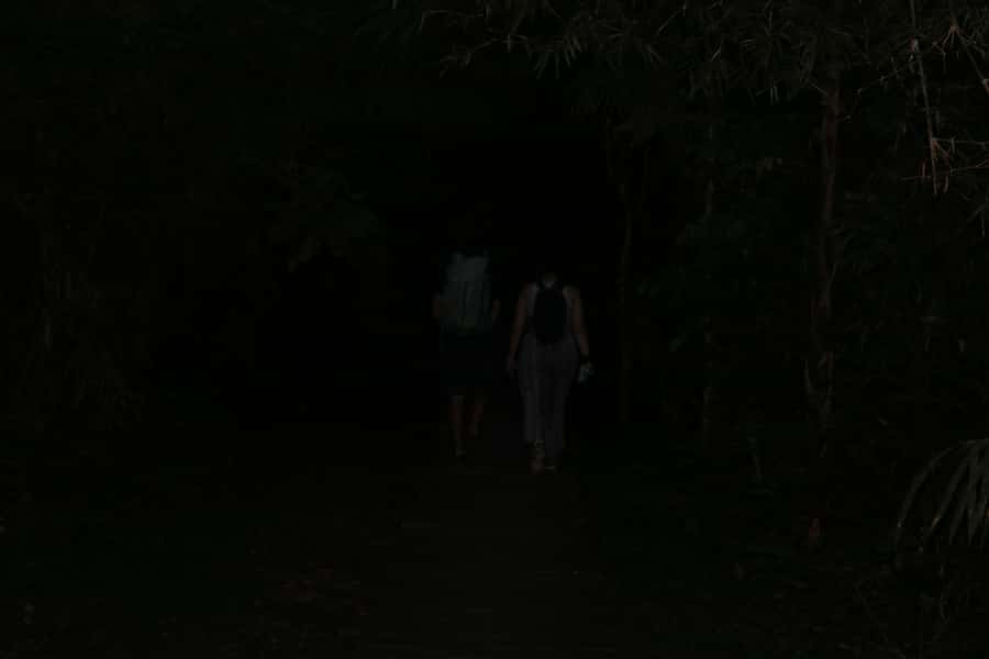 Puerto Maldonado: Jungle Night Tour with Sloths & Tarantulas - Is $45 good value for two hours?