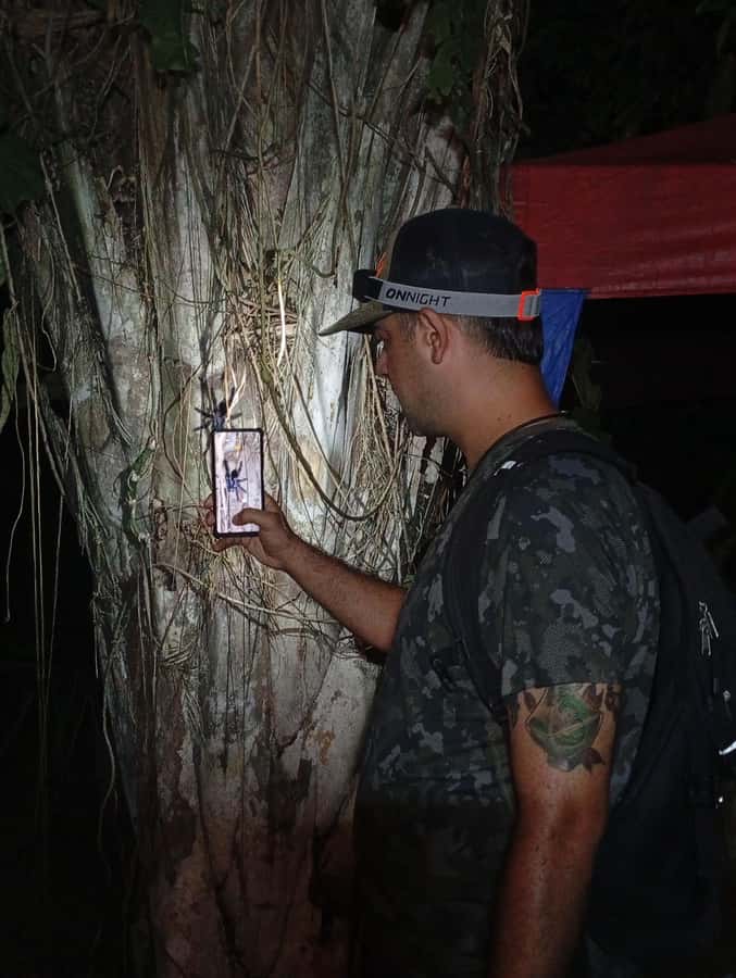 Puerto Maldonado: Jungle Night Tour with Sloths & Tarantulas - From Puerto Maldonado to the jungle at night