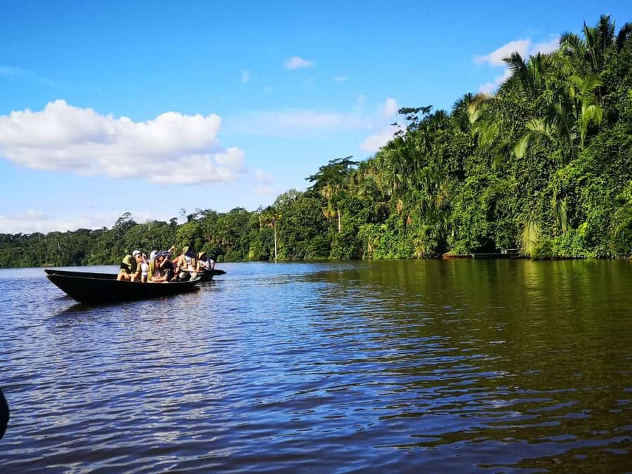 Puerto Maldonado: Lago Sandoval Day Trip with Lunch - Key points before you book