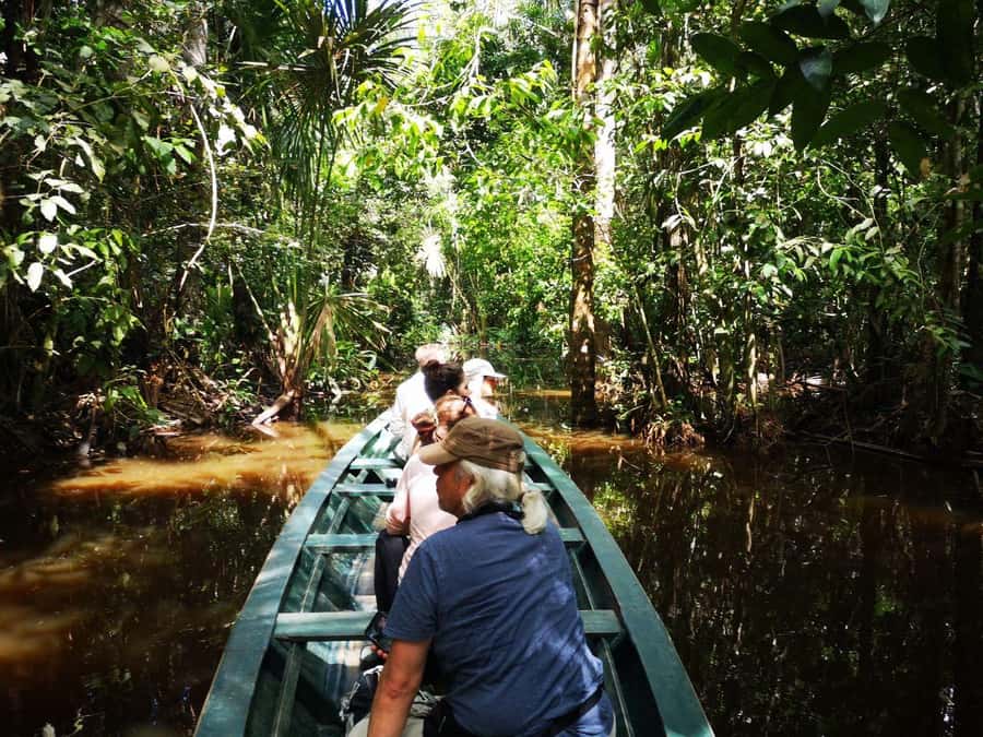 Puerto Maldonado: Lago Sandoval Day Trip with Lunch - Wildlife watching without false promises
