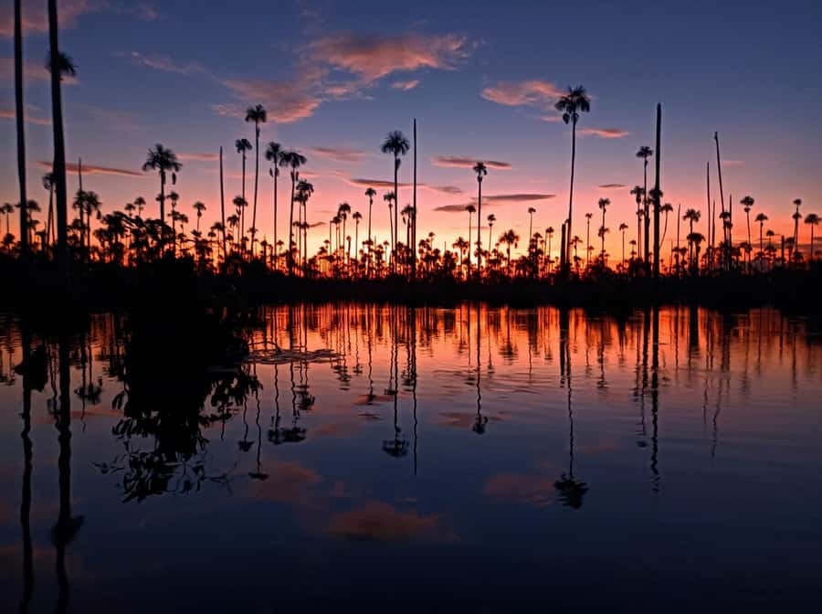 Puerto Maldonado: Lake Yacumama sunset and piranha fishing - Arriving at Lake Yacumama
