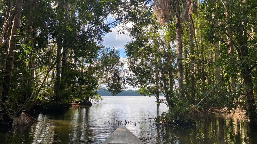 Puerto Maldonado: Sandoval Lake 4-Day, 3-Night Guided Tour - Monkey Island and a first night looking for caimans