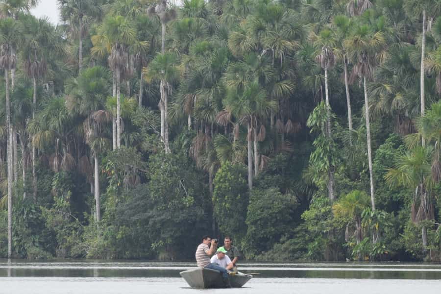 Puerto Maldonado: Sandoval Lake Full-Day Trip with Canoeing - From Puerto Maldonado to the Madre de Dios River