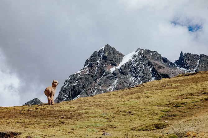 Rainbow Mountain and Red Valley Hike – 2 Days / 1 Night - Booking details that can affect your plans