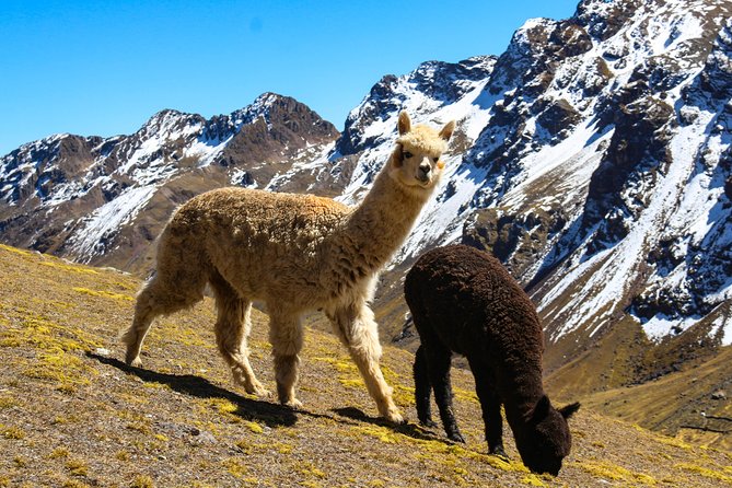 Rainbow Mountain in Cusco Full Day Tour - Why Vinicunca demands a full day
