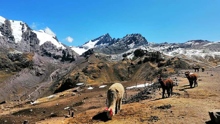 Rainbow Mountain tour and Machu Picchu tour by train - Day two: train tracks to Machu Picchu