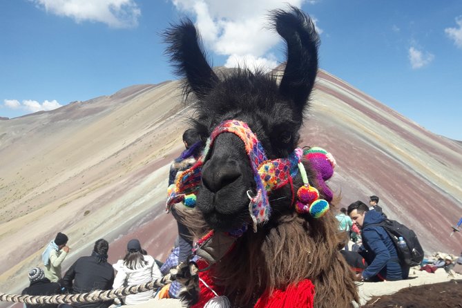 Rainbow Mountain Tour Vinicunca (Full Day) - The guide’s role when altitude takes over