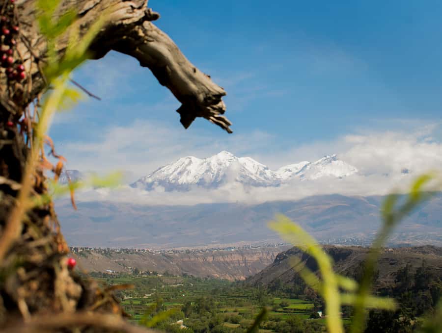 Rock Climbing in Arequipa, Perú - Should you book Rock Climbing in Arequipa?