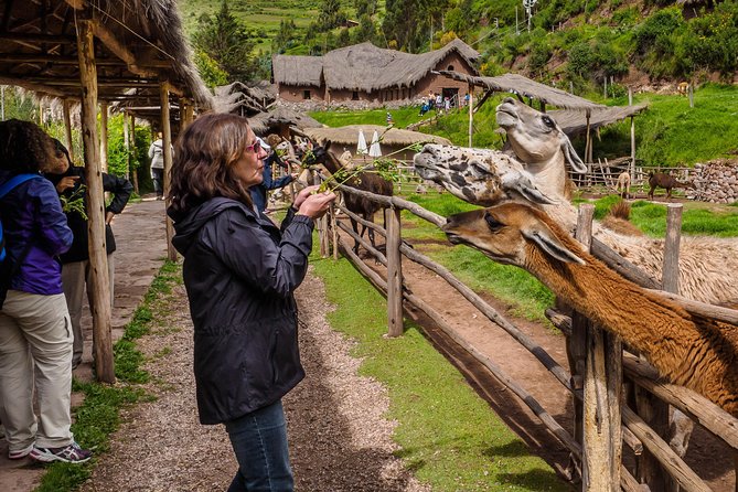 Sacred Valley and Machu Picchu Tour in 2 days with Peru Vip - Urubamba buffet lunch and the road through the valley