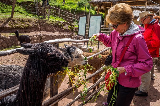 Sacred Valley and Machu Picchu Tour in 2 days with Peru Vip - The train to Aguas Calientes